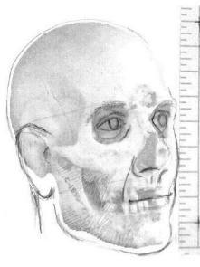 comp01a.jpg (10001 bytes)