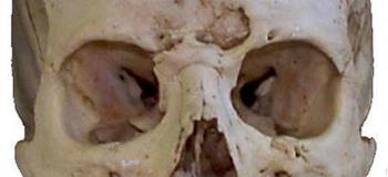 orbits.gif (163466 bytes)