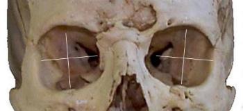 orbits.gif (163466 bytes)