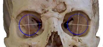 orbits.gif (163466 bytes)