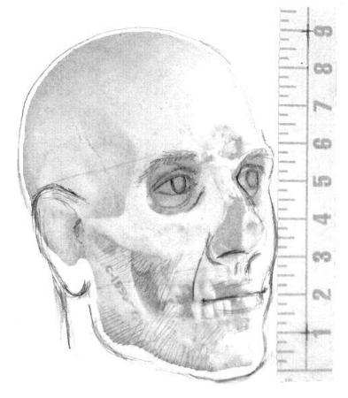 fit01.jpg (22492 bytes)