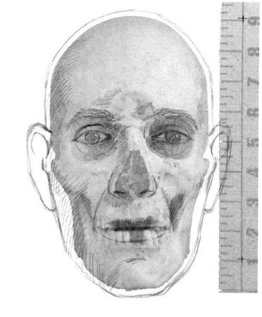 fit01.jpg (22492 bytes)