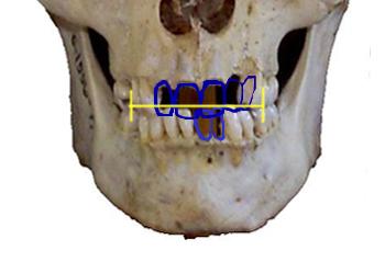 mou02.jpg (10695 bytes)