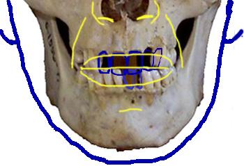 mou04.jpg (10695 bytes)