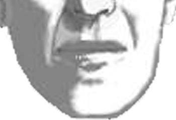 mou08.jpg (10695 bytes)