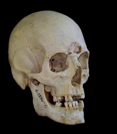 fit01.jpg (22492 bytes)