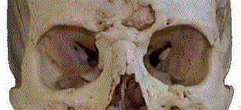 orbits.gif (163466 bytes)